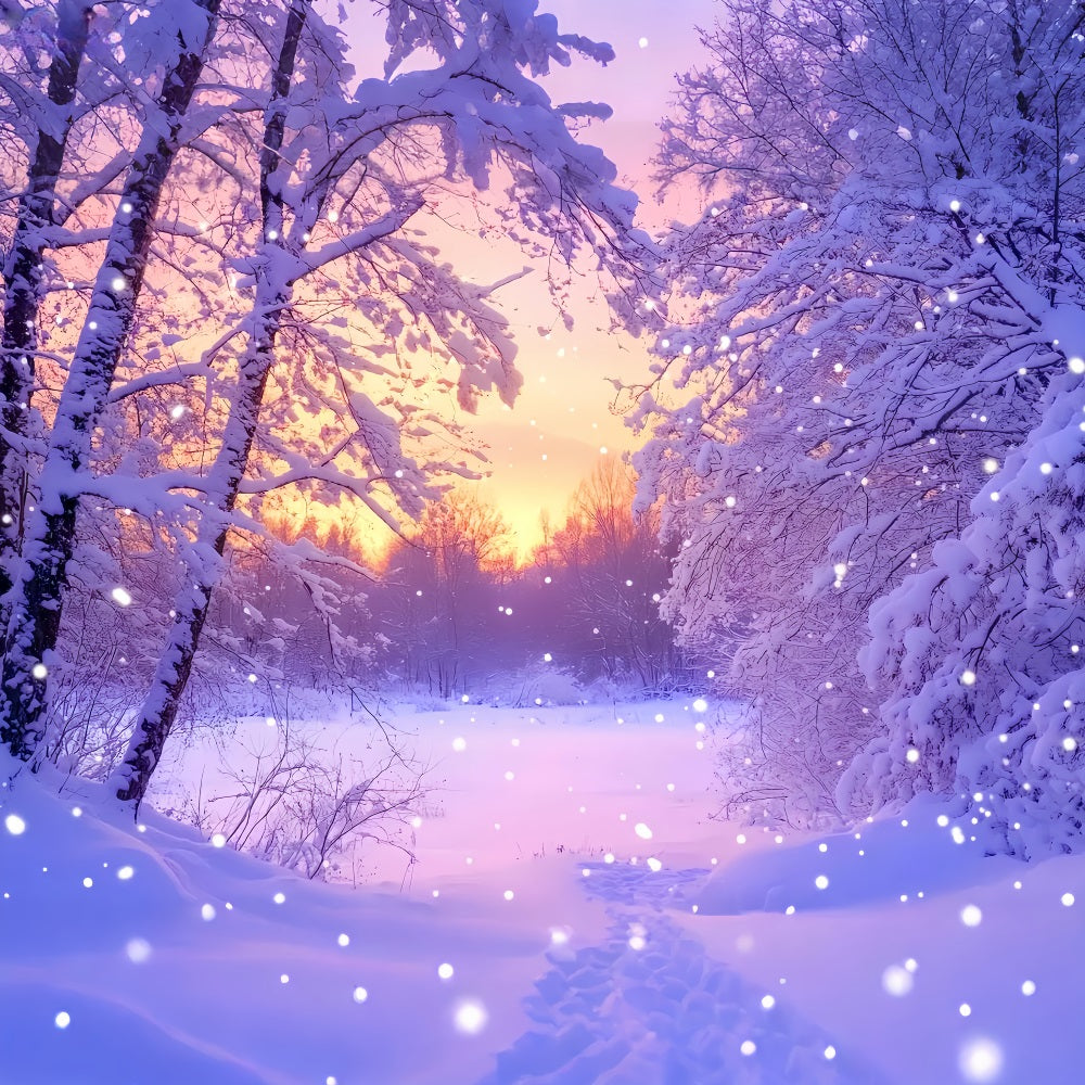 Winter Wonderland Backdrop Pink Sunrise Snow Forest Winter Backdrop UK LXX510-92