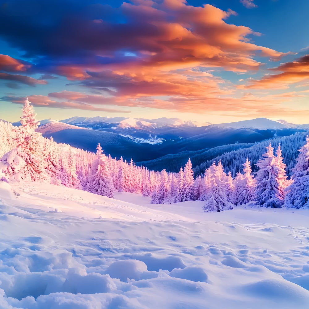 Winter Mountain Backdrop Golden Peaks Frost Valley Winter Backdrops UK LXX510-93