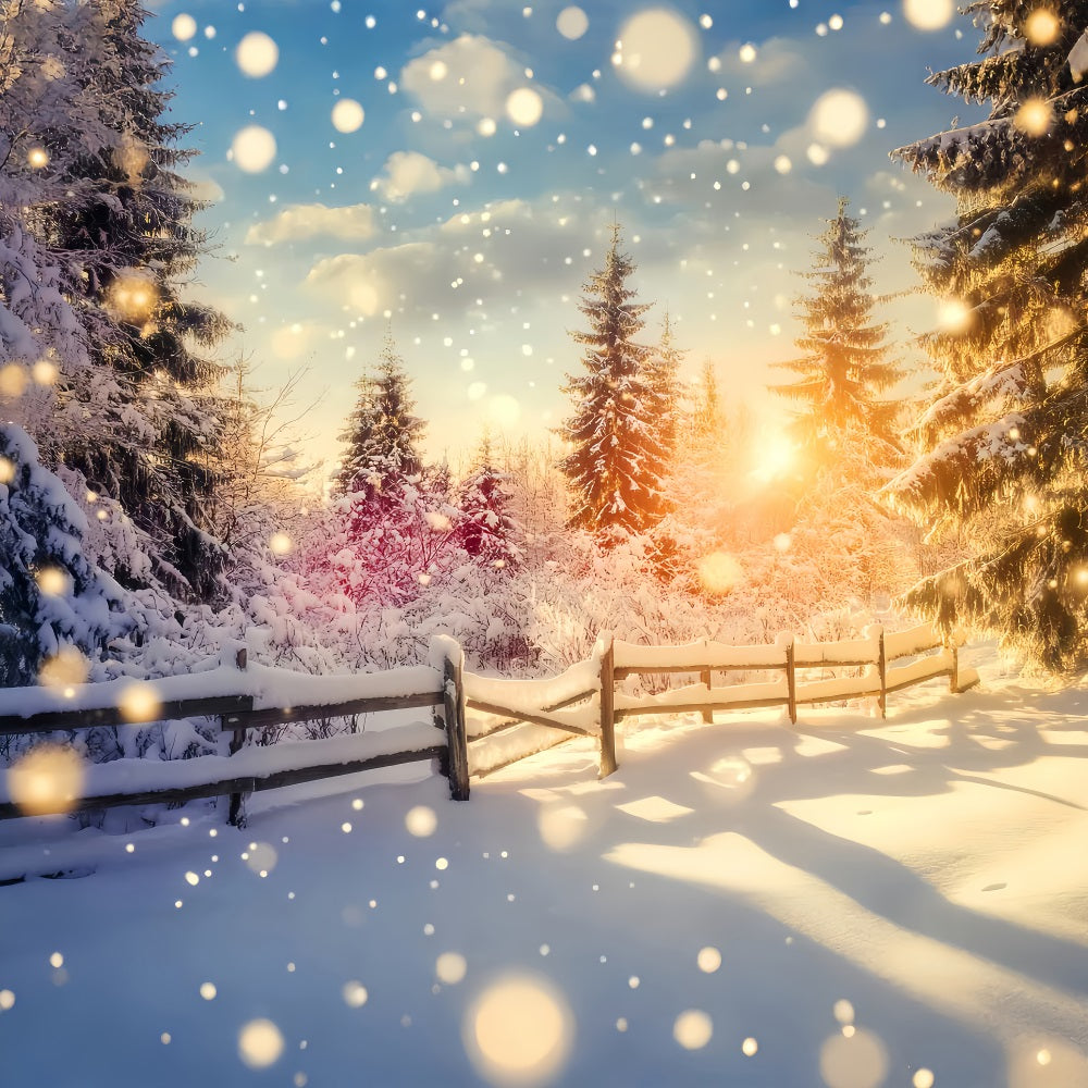 Wonderland Backdrop Sparkling Sunset Snow Fence Winter Photo Backdrops UK LXX510-99