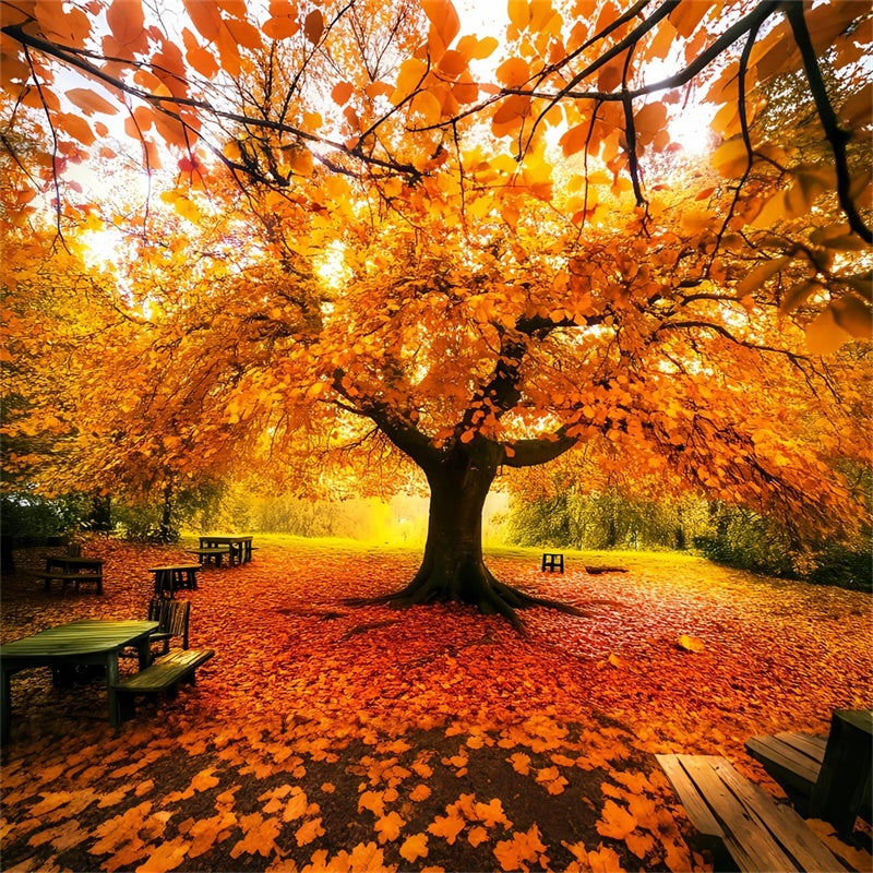Autumn Leaves Backdrop Fall Canopy Backdrop Backdrop UK LXX57-177