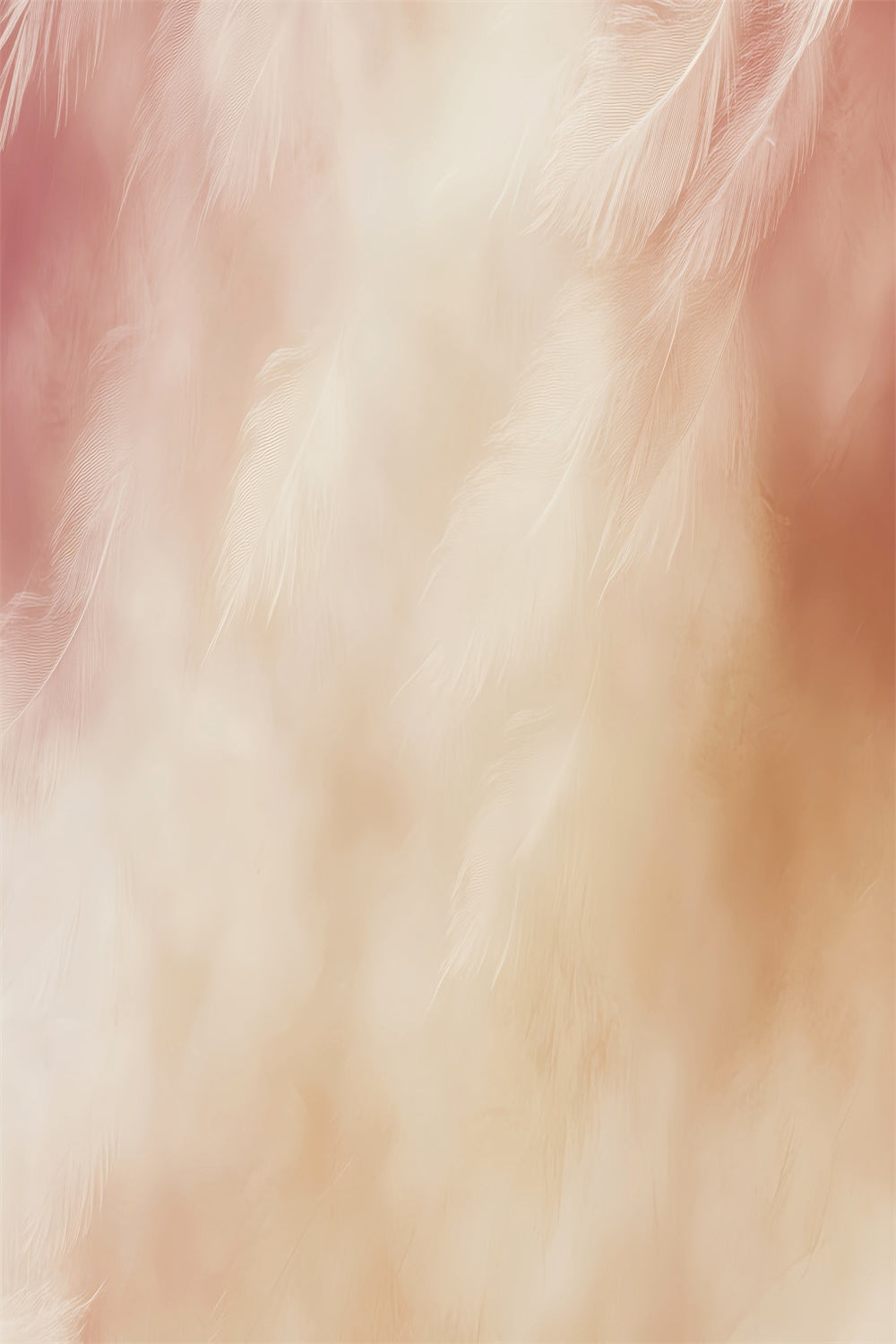 Photo Portrait Backdrop Feather Blush Glow Backdrop UK LXX57-253