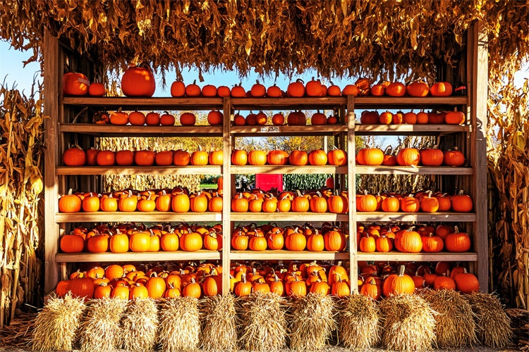 Photography Thanksgiving Backdrop Pumpkin Shed Market Backdrop UK LXX57-354