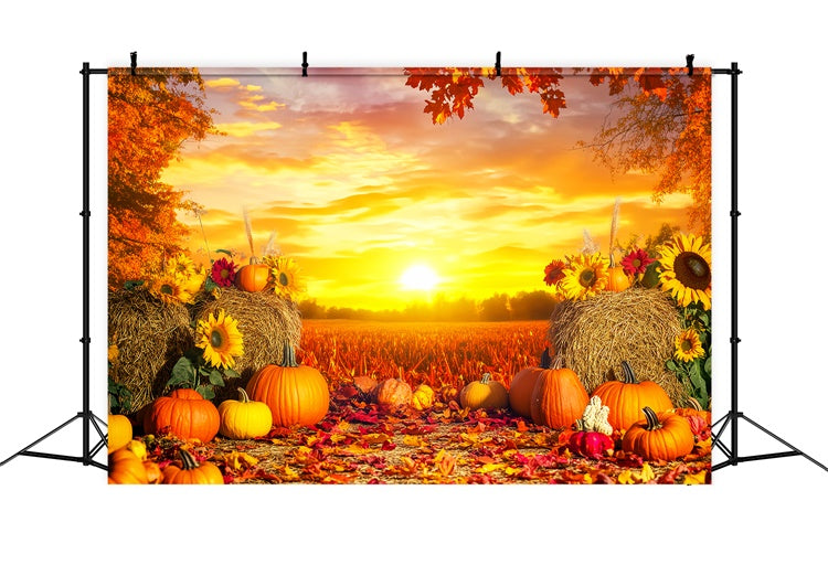 Thanksgiving Backdrop Harvest Field Golden Sunset Backdrop UK LXX57-360