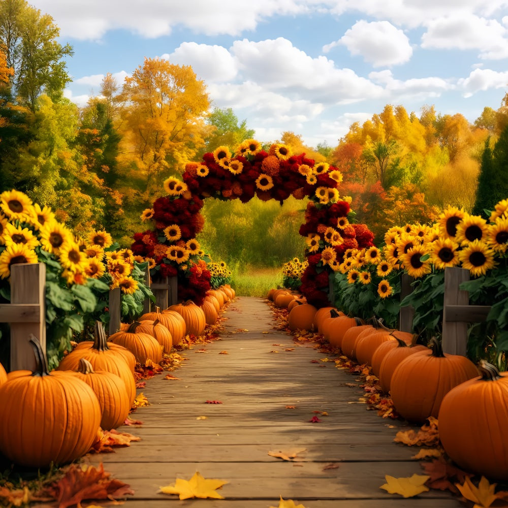 Sunflower Backdrop Sunflower Path Pumpkins Autumn Backdrop UK LXX59-284