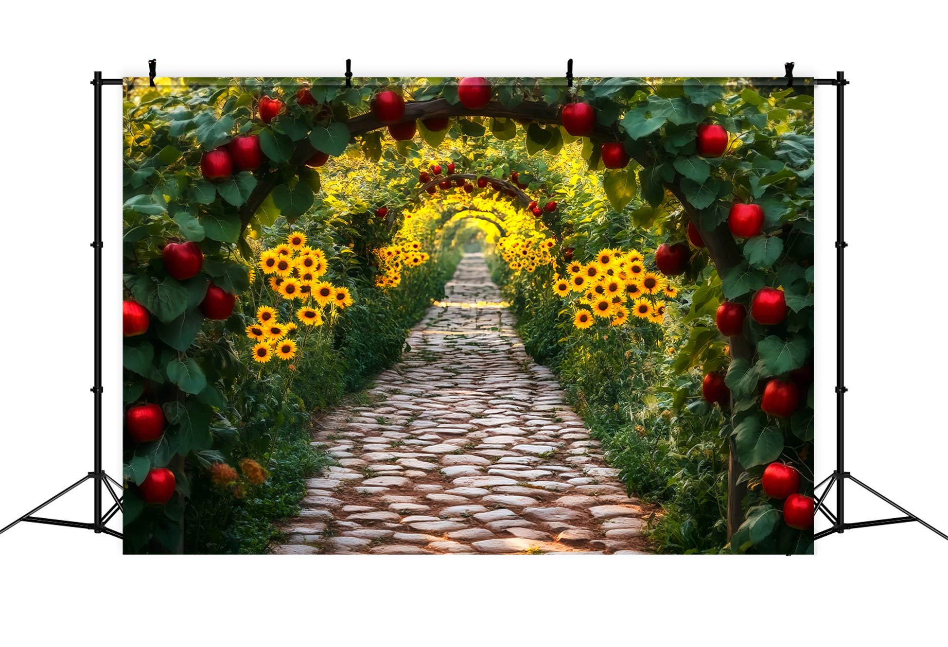 Sunflower Backdrop Apple Orchard Sunflower Tunnel Fall Photo Backdrop UK LXX59-285