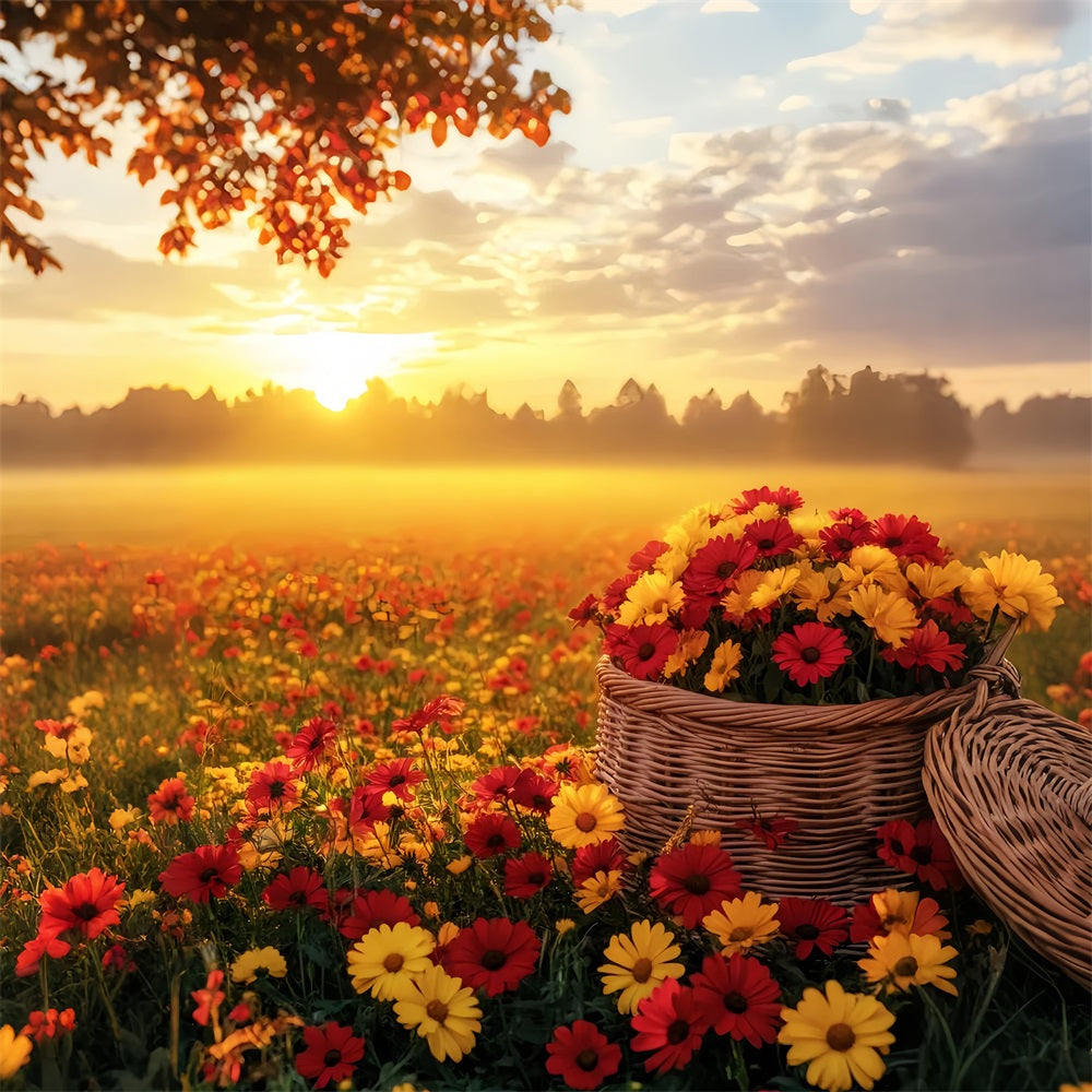 Fall Outdoor Backdrop Sunset Over Autumn Flower Field Fall Backdrops UK LXX59-292