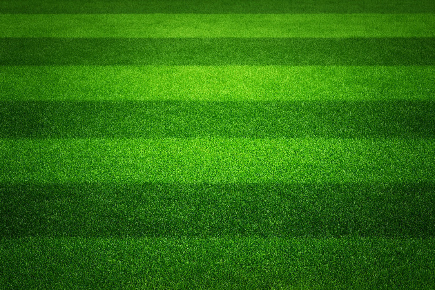 Sports Backdrop Striped Green Turf Field Football Field Backdrop UK LXX59-323