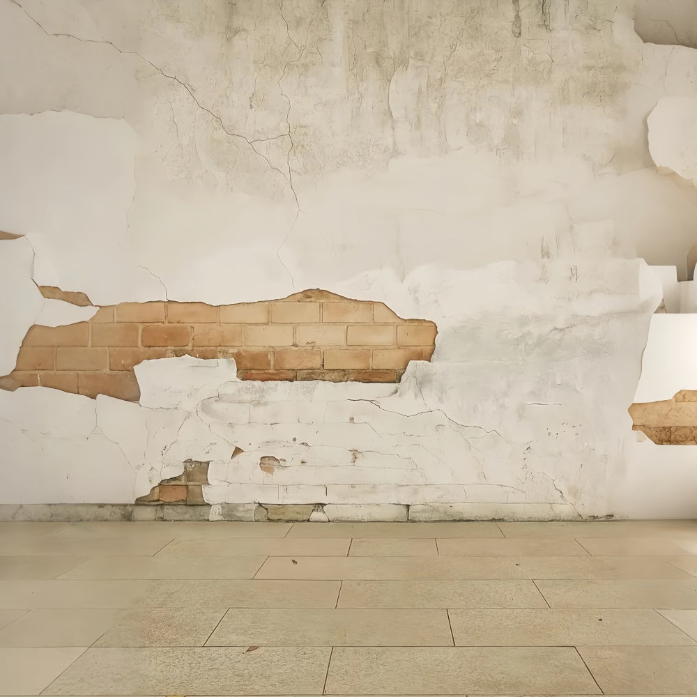 Concrete Wall Backdrop Rustic Cracked Brick Wall Portrait Photography Backdrop UK LXX59-426