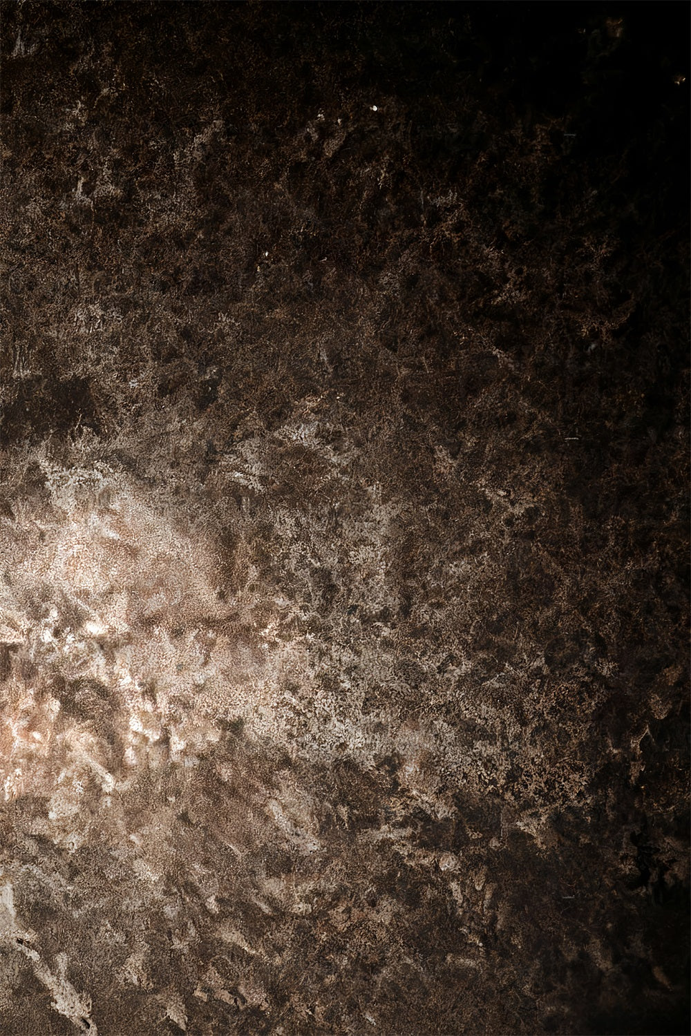 Portrait Studio Backdrop Dark Rustic Metallic Texture Portrait Backdrop UK LXX59-452