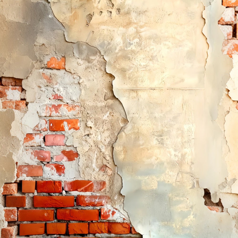 Concrete Wall Backdrop Exposed Brick Plaster Texture Portrait Backdrops UK LXX59-460