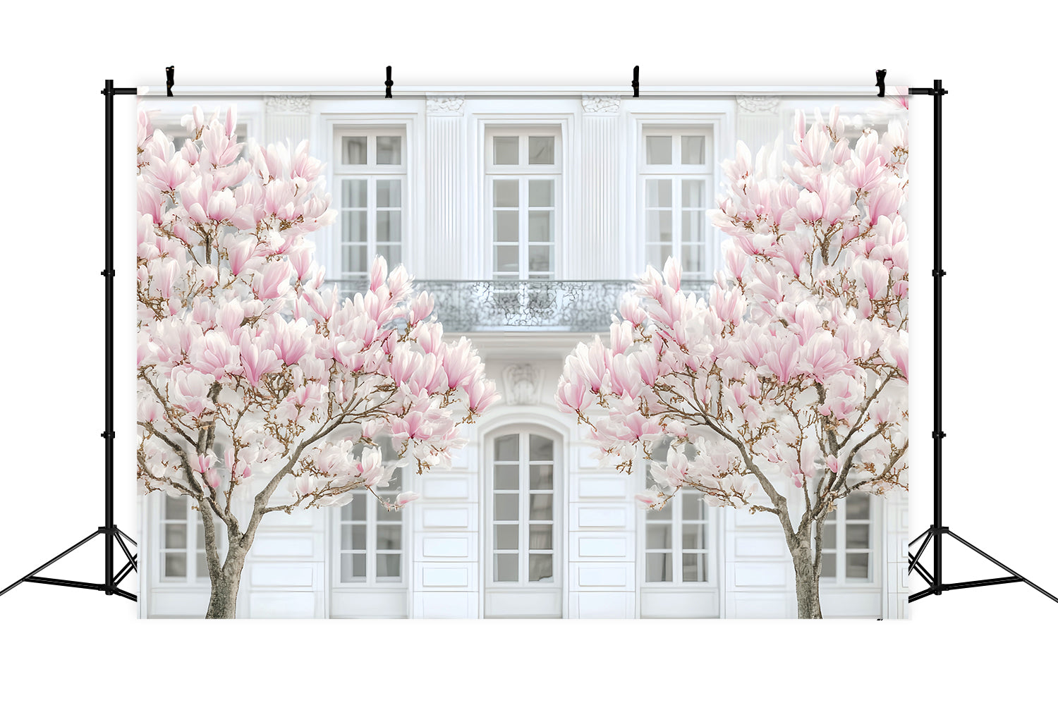 Europe Backdrop Parisian Magnolia White Facade Paris Backdrop UK LXX59-48