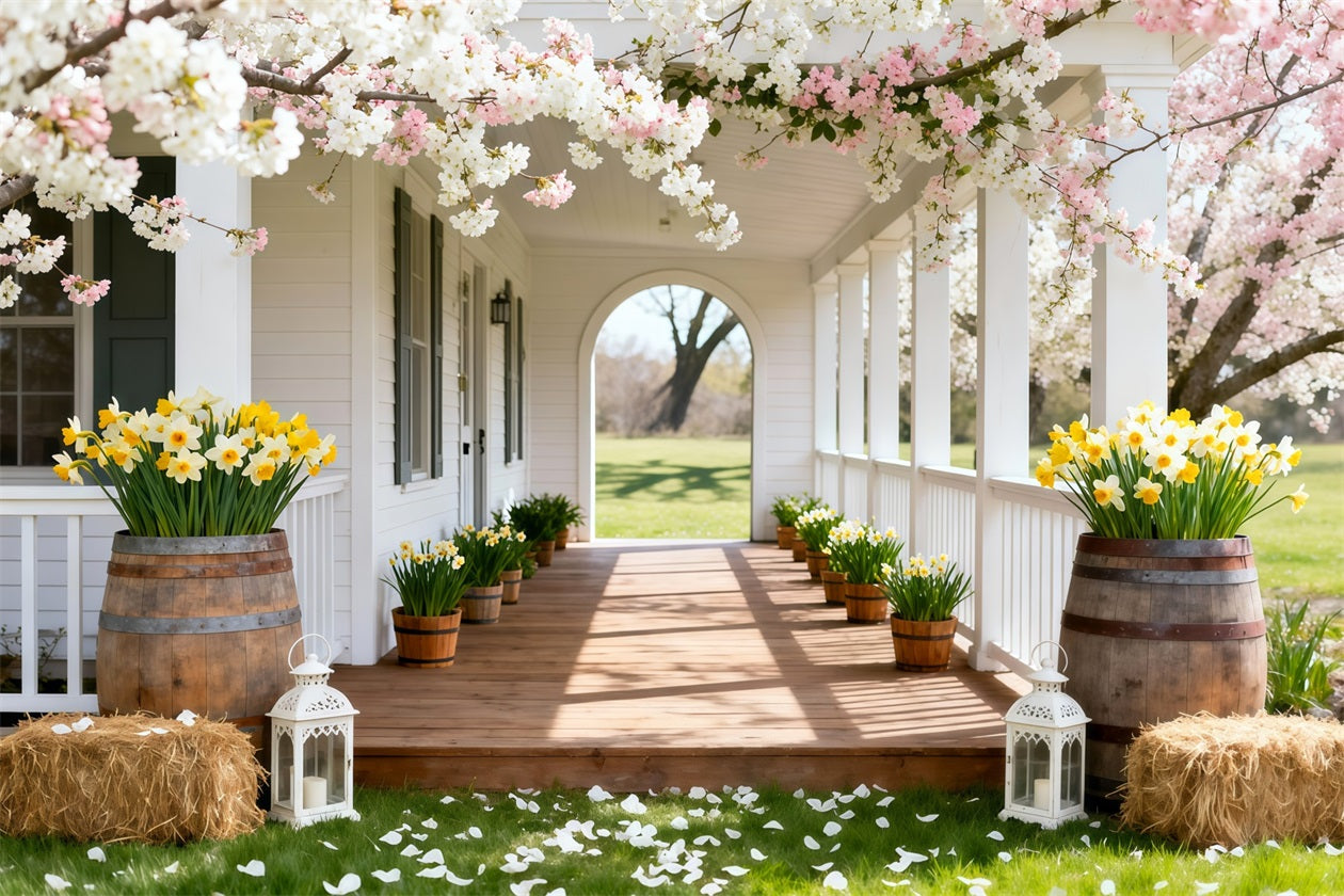 Daffodil Backdrop Cherry Blossom Porch Walkway Floral Backdrop For Photos UK LXX61-203