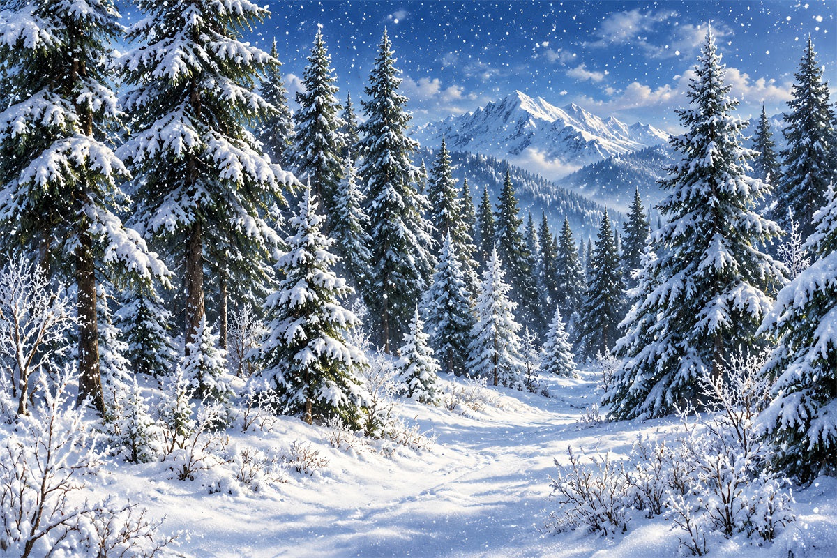 Christmas Tree Photography Backdrop Snowy Lantern Archway Path Christmas Backdrop Photo UK LXX610-173