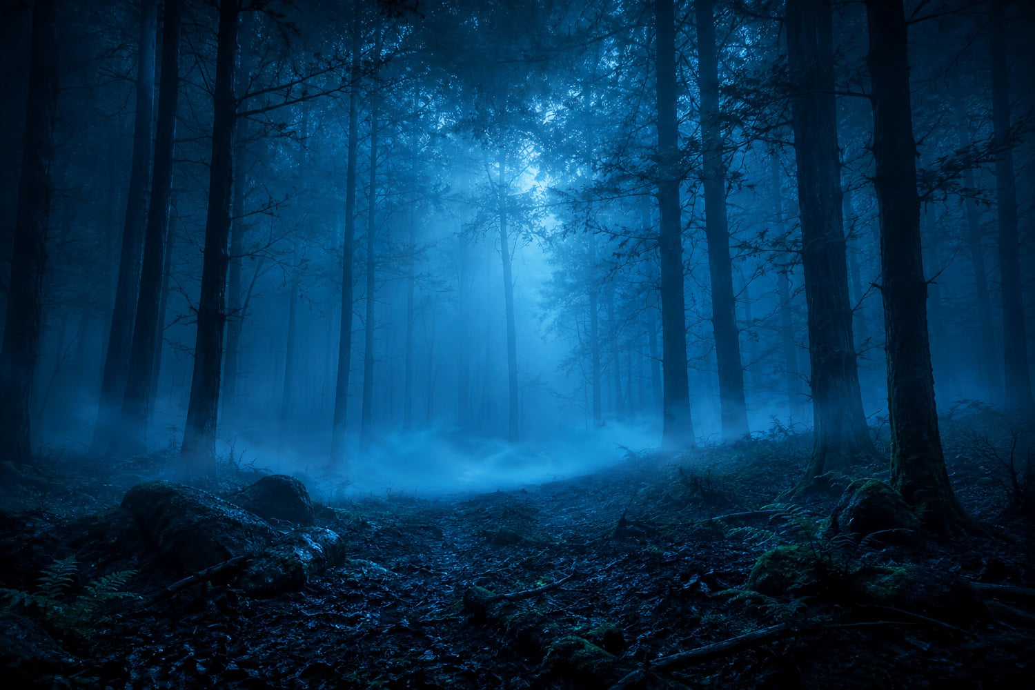 Halloween Forest Backdrop Moonlit Blue Mist Forest Vintage Halloween Backdrop UK LXX67-141