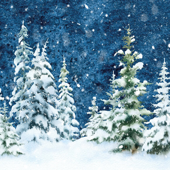 Winter Spruce Forest Snow Watercolor Backdrop UK M11-46