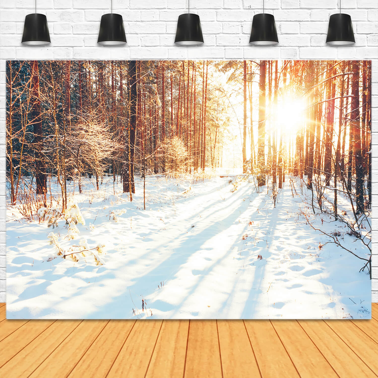 Winter Forest Path Sunlight Snow Backdrop UK M11-64