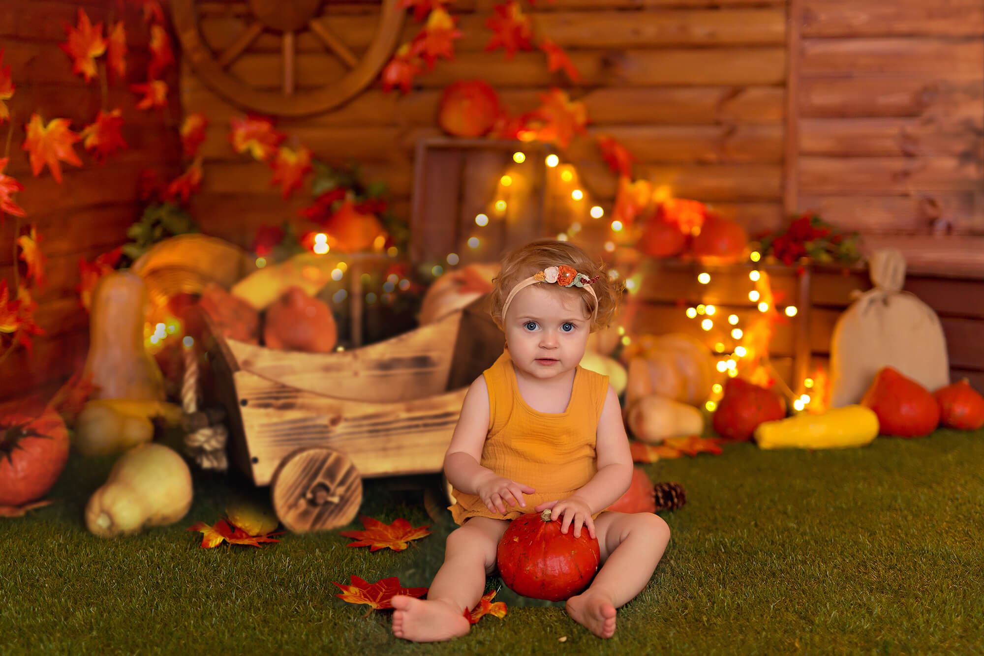 Thanksgiving Pumpkins Autumn Photography Backdrop UK M7-82