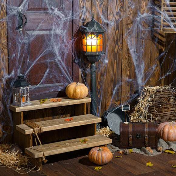 Old Wood Room Spider Web Halloween Backdrop UK M9-34