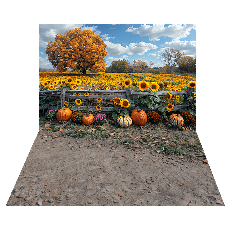 Sunflower Pumpkin Field Backdrop+Rocky Earth Texture Floor Backdrop UK MRR8-161