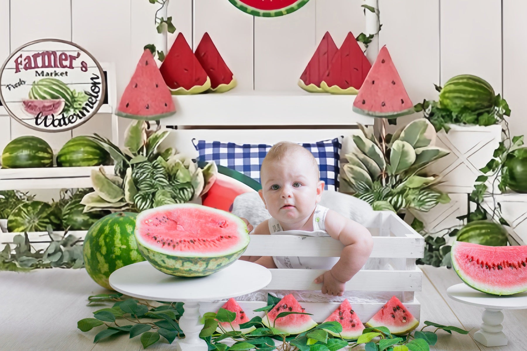 Summer Boardwalk Watermelon Market Backdrop RR3-13