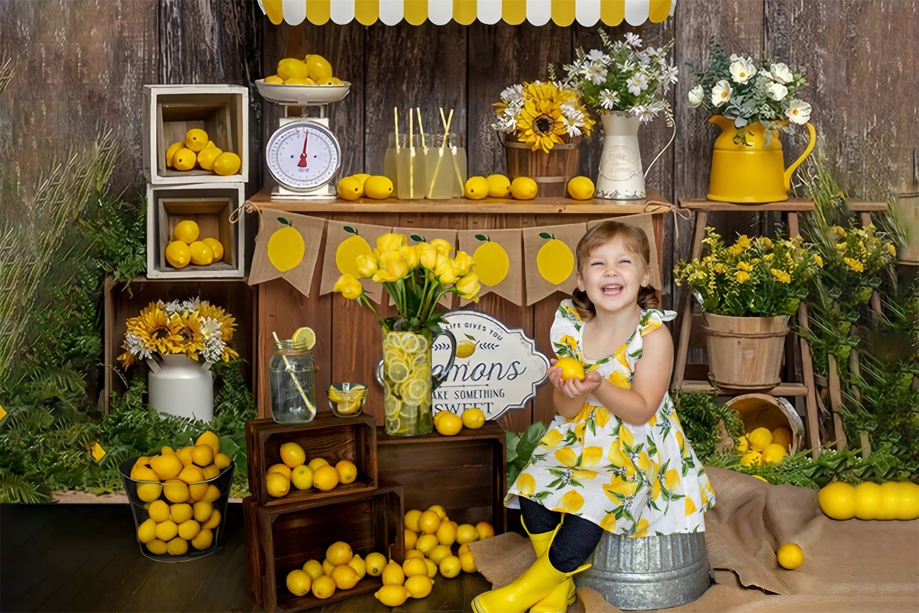 Summer Boardwalk Lemon Sale Booth Theme Backdrop RR3-24