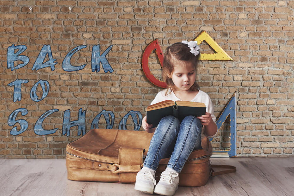 Rulers Brick Wall Back to School Backdrop RR6-29