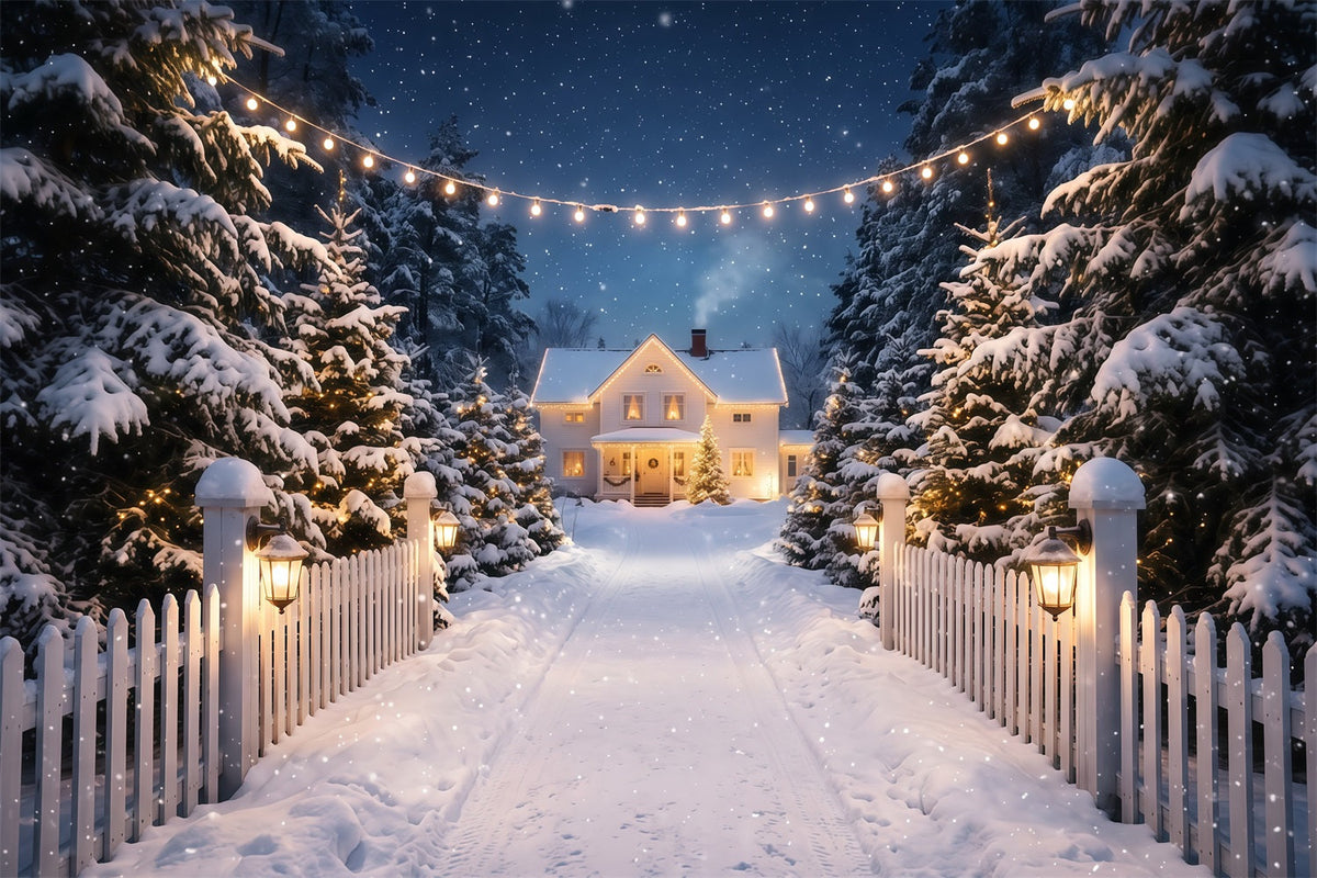 Christmas Lights Photo Backdrop Snowy White House Driveway Christmas Photobooth Backdrop UK RR610-122