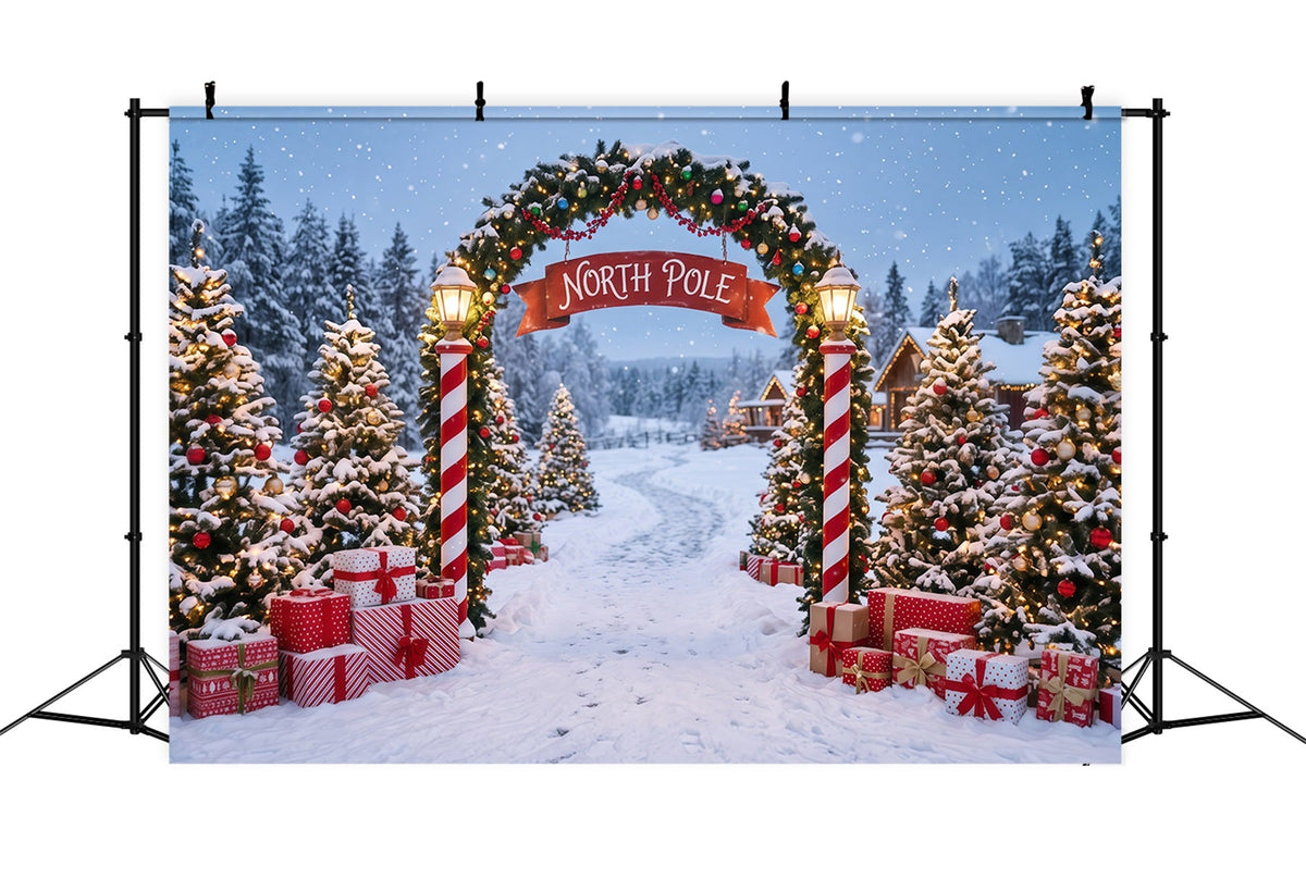 North Pole Photo Backdrop Snowy Village Gateway Professional Photography Christmas Backdrops UK RR610-141