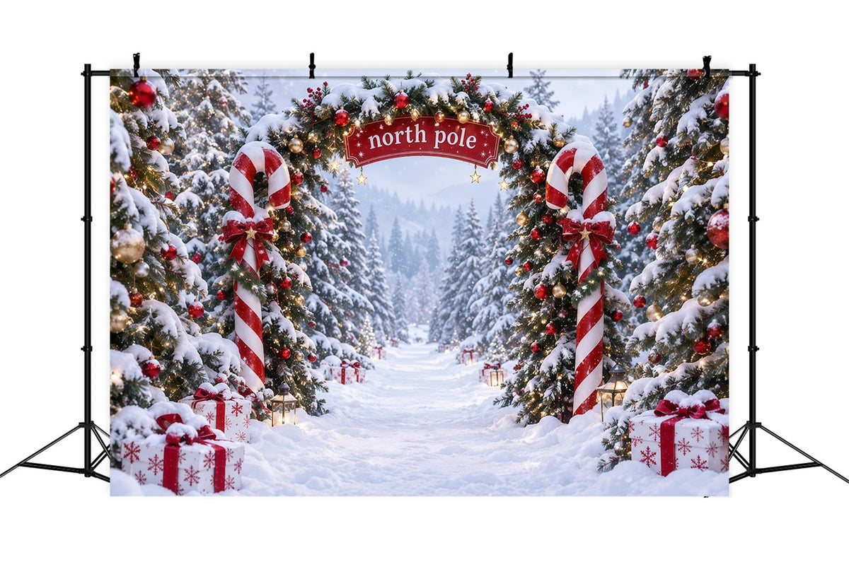 North Pole Photo Backdrop Candy Cane North Pole Christmas Winter Backdrop UK RR610-173