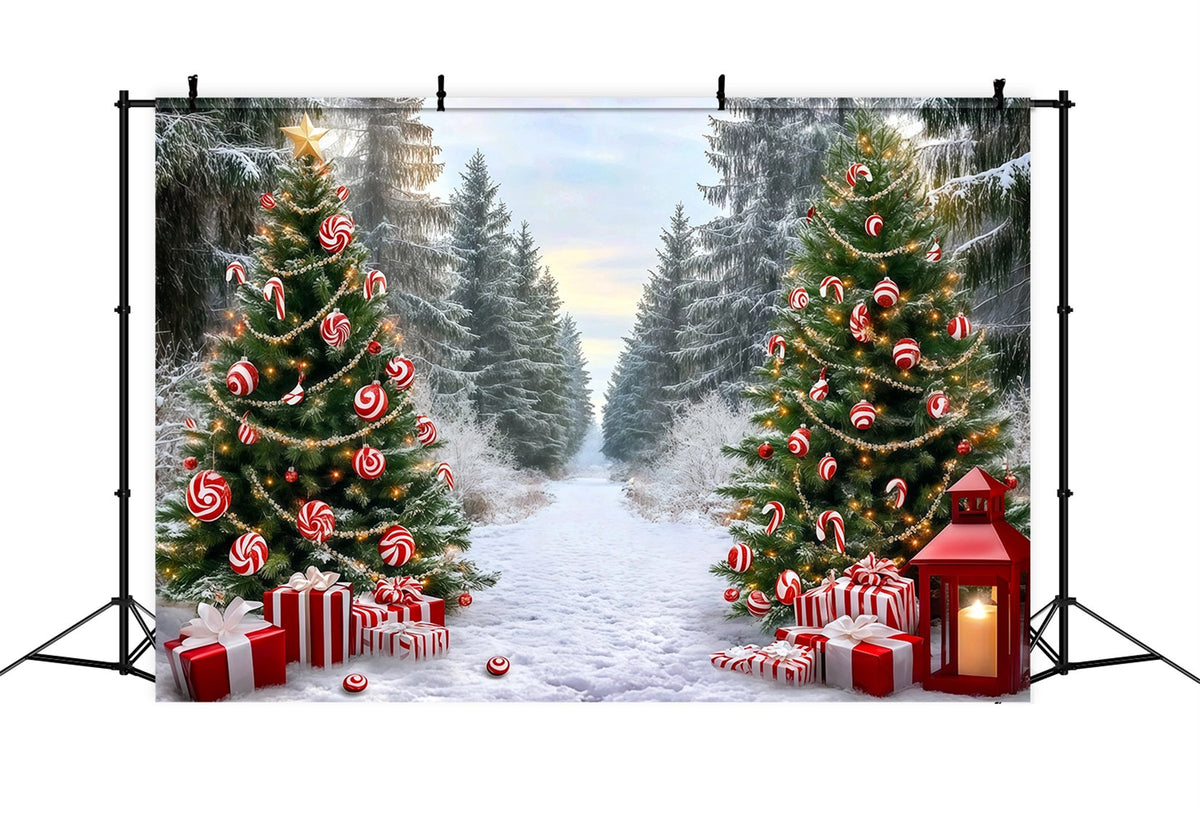 Classic Christmas Backdrop Candy Cane Forest Path Xmas Backdrop For Photos UK RR610-50