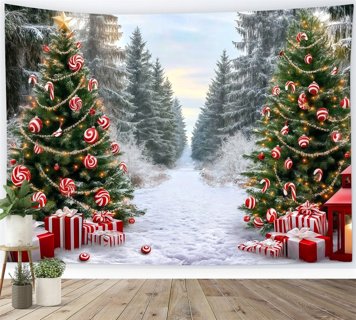 Classic Christmas Backdrop Candy Cane Forest Path Xmas Backdrop For Photos UK RR610-50