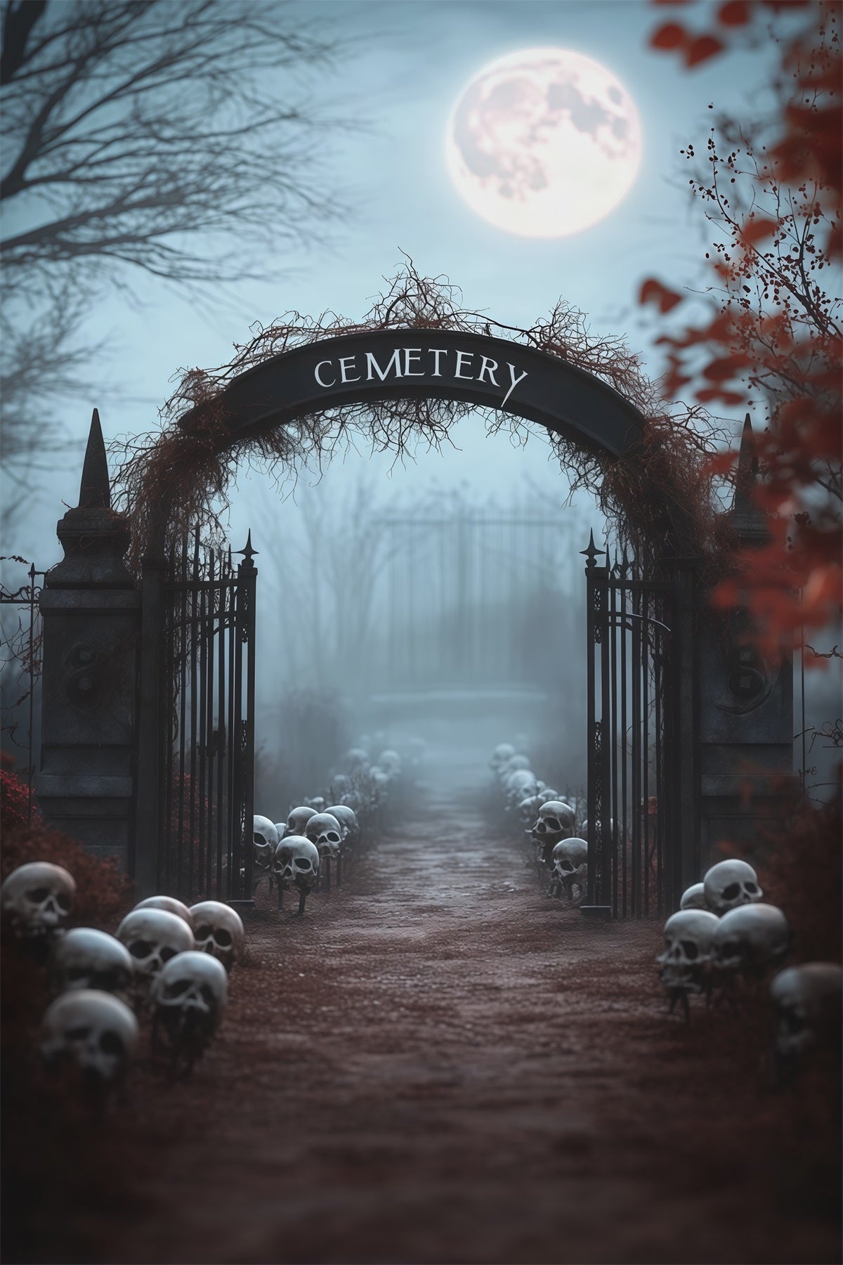 Halloween Outdoor Backdrop Foggy Skull Cemetery Entrance Halloween Backdrops For Photos UK RR67-160
