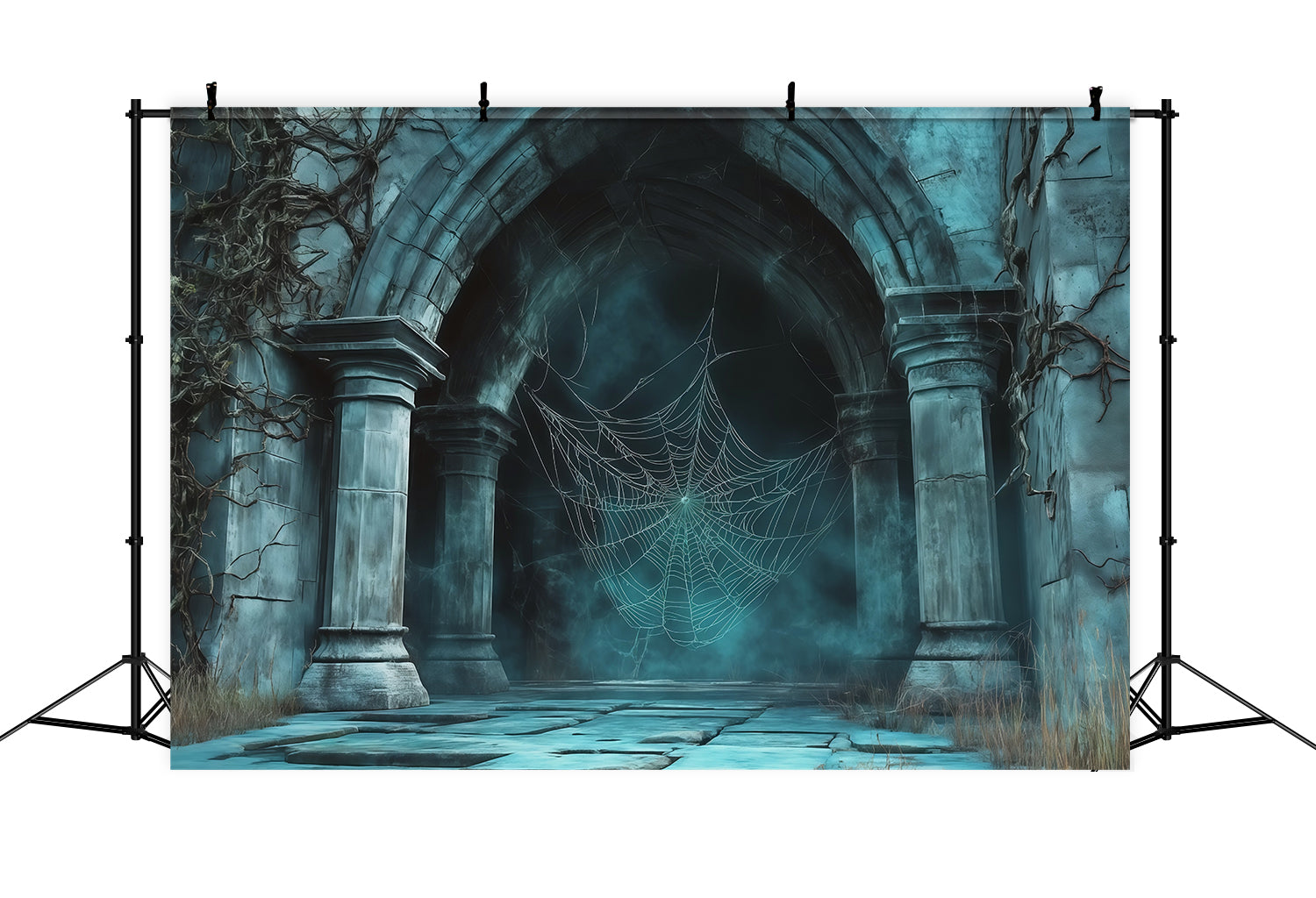 Spiderweb Backdrop Foggy Gothic Stone Archway Magical Backdrops UK RR67-169