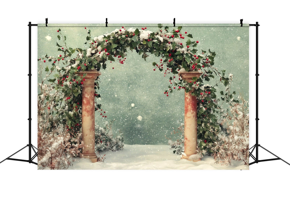Snowy Christmas Backdrop Winter Snow Holly Archway Backdrop Christmas UK RR68-65