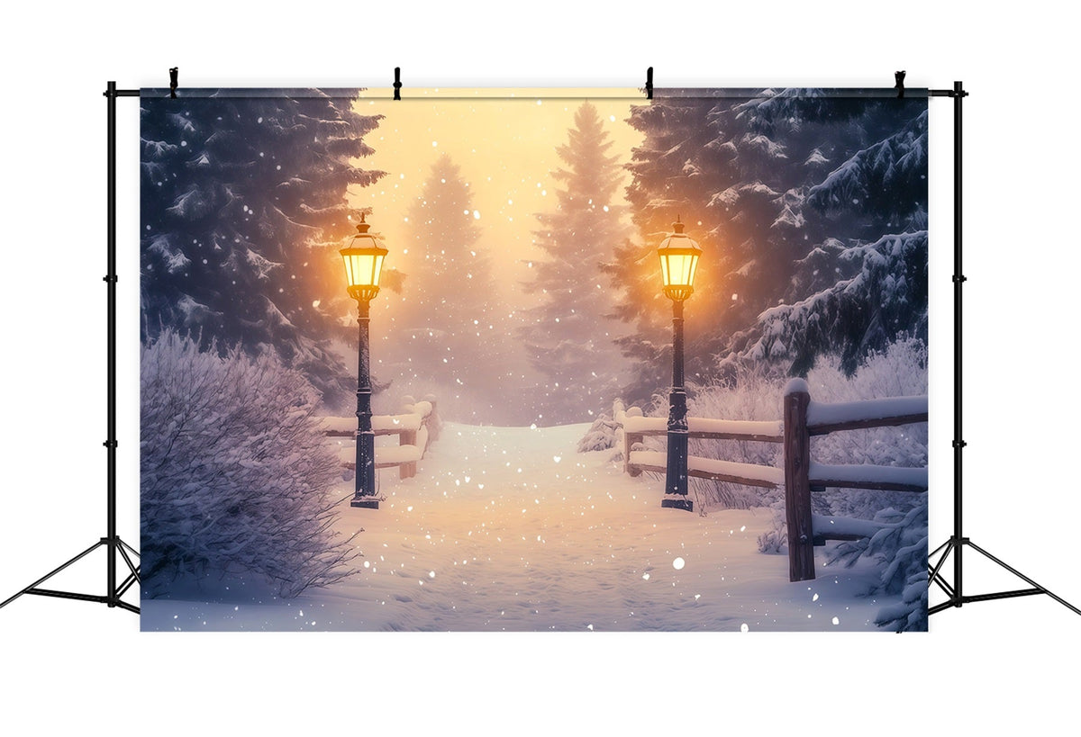 Snowy Christmas Backdrop Wonderland Forest Lantern Path Christmas Studio Backdrops UK RR68-85