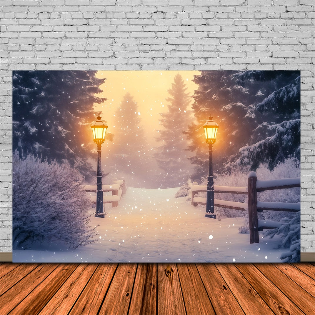Snowy Christmas Backdrop Wonderland Forest Lantern Path Christmas Studio Backdrops UK RR68-85