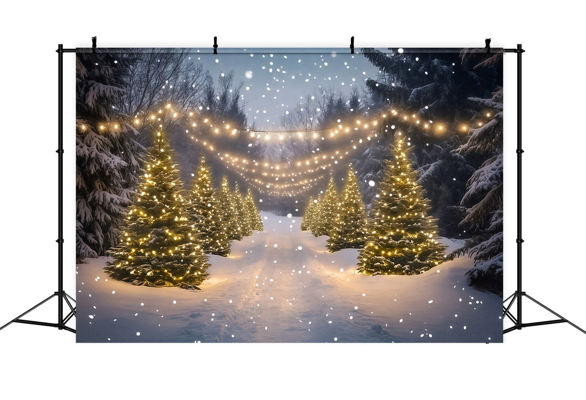 Christmas Wonderland Backdrop Snowy Forest Light Path Indoor Christmas Backdrops UK RR68-91