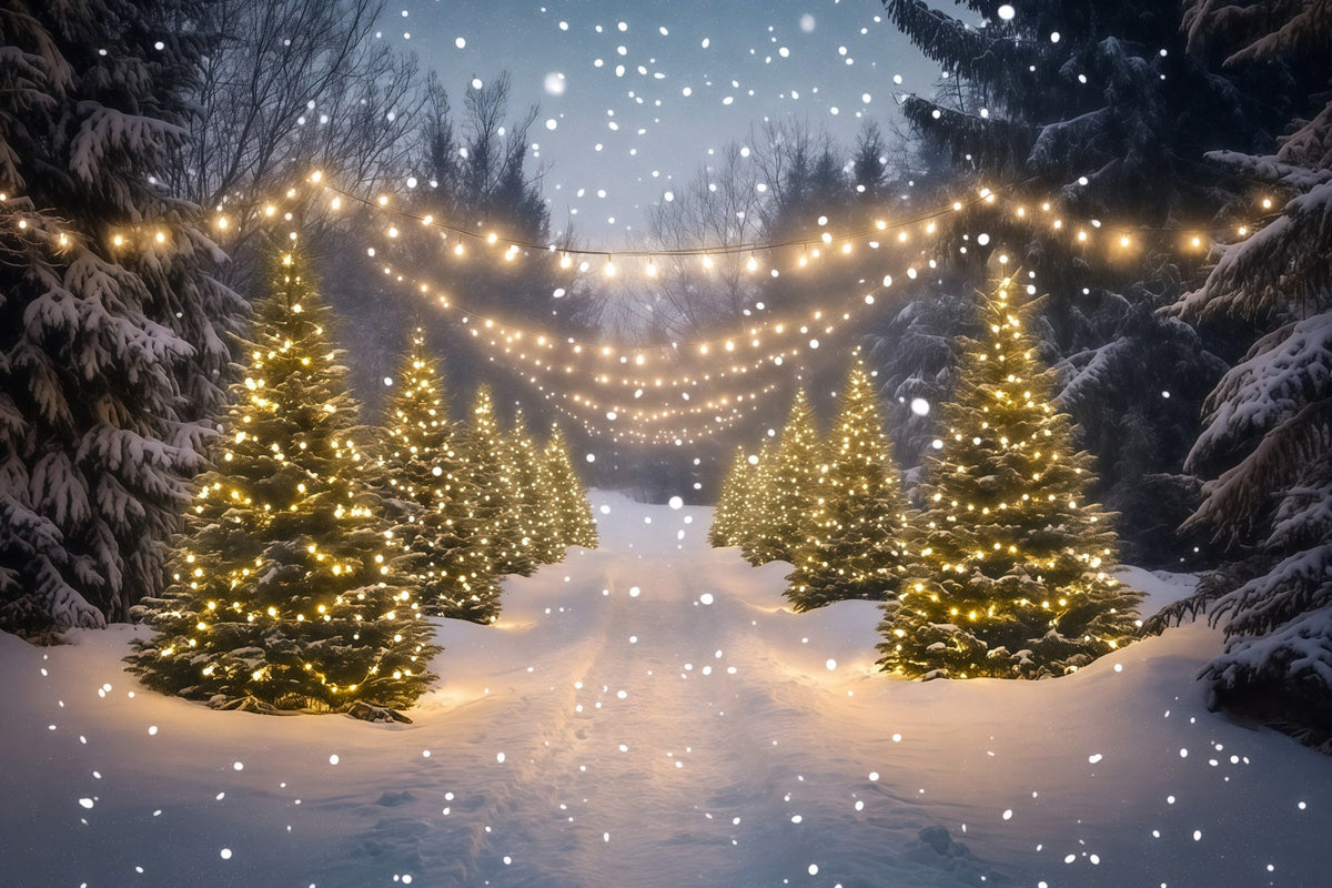 Christmas Wonderland Backdrop Snowy Forest Light Path Indoor Christmas Backdrops UK RR68-91