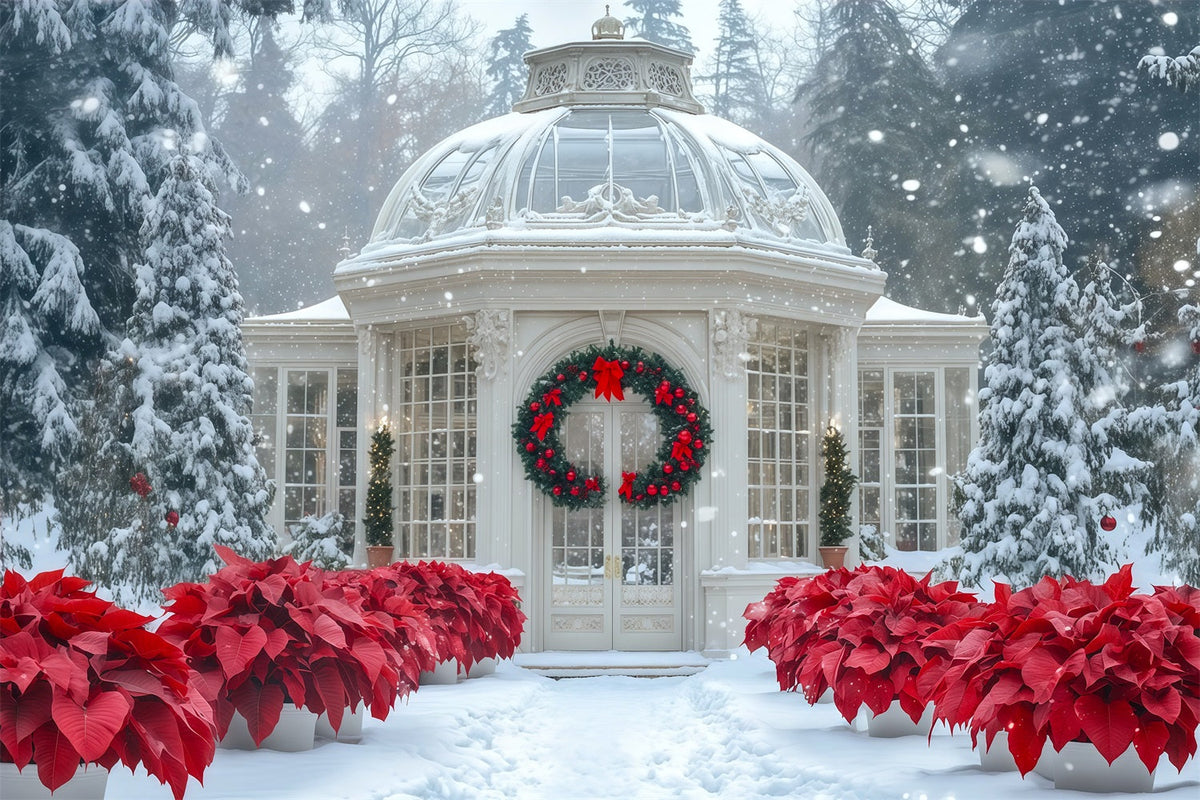 Snowy Christmas Backdrop Conservatory Poinsettia Garden Photography Christmas Backdrop UK RR69-12