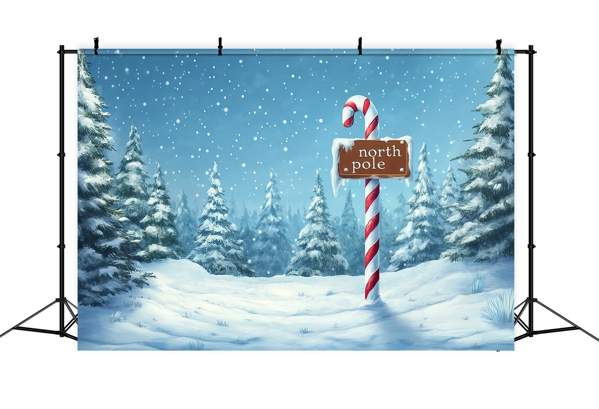 North Pole Christmas Backdrop Winter Snowy Forest Backdrops Christmas UK RR69-68