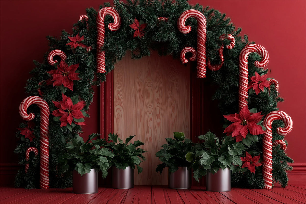 Candy Cane Christmas Backdrop Poinsettia Garland Archway Christmas Studio Backdrops UK RR69-79