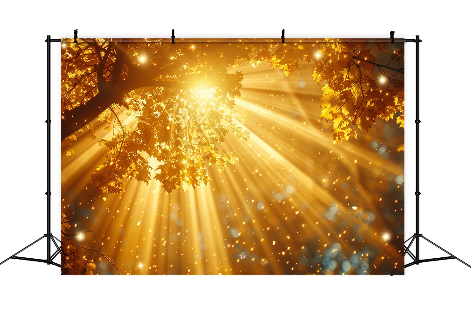 Autumn Forest Sunlight Photography Backdrop UK RR7-155