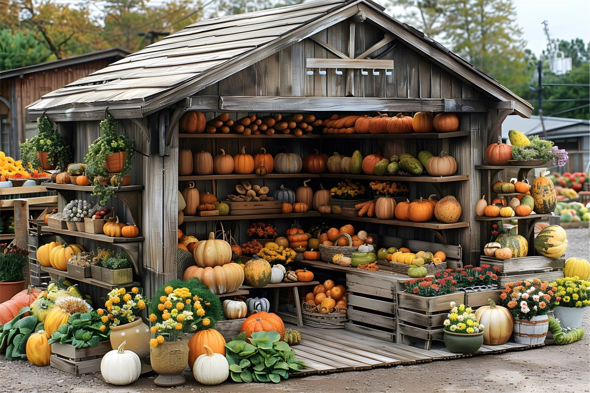 Rustic Autumn Harvest Shed Pumpkins Backdrop UK RR7-345