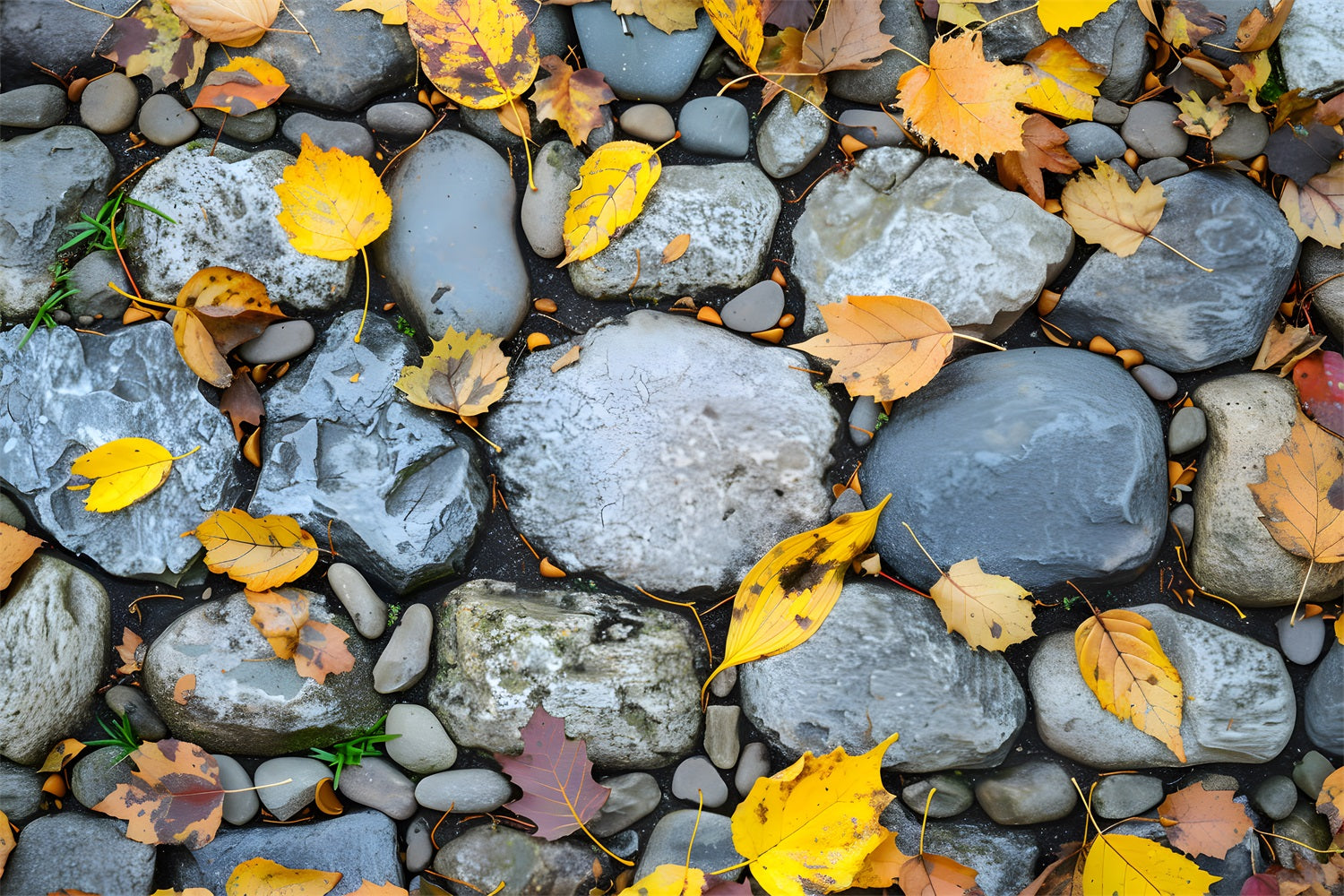 Fall Falling Leaves Rock Floor Backdrop UK RR7-526