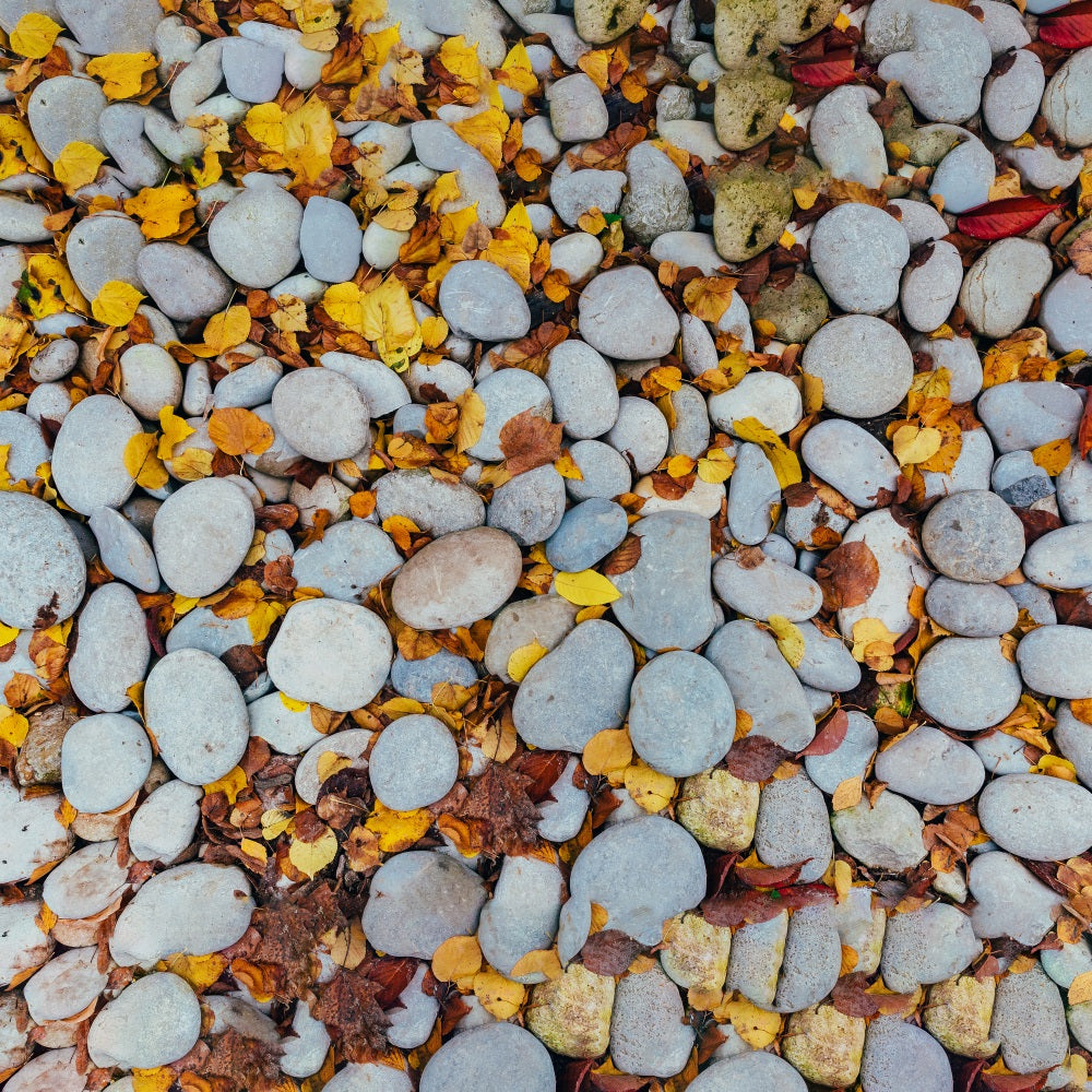 Leaves Staggered Pebble Floor Backdrop UK RR7-528