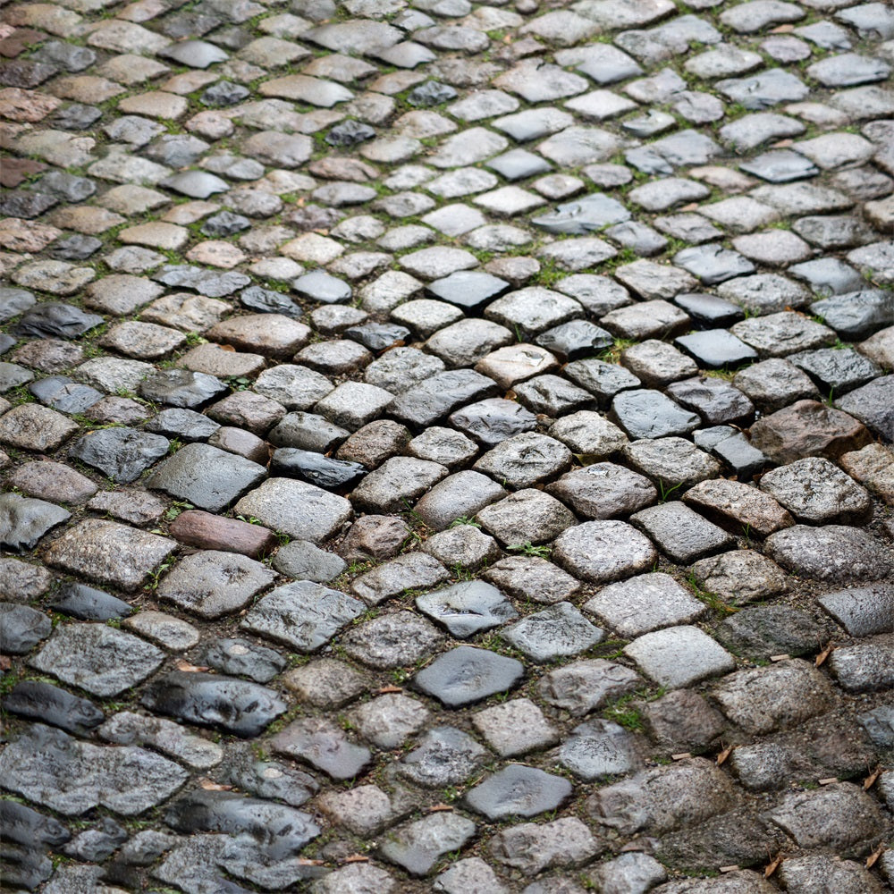 Wet After Rain Stone Floor Backdrop UK RR7-529