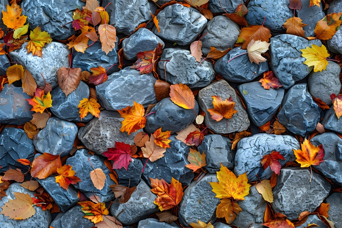 Maple Leaves Light Stones Floor Backdrop UK RR7-535