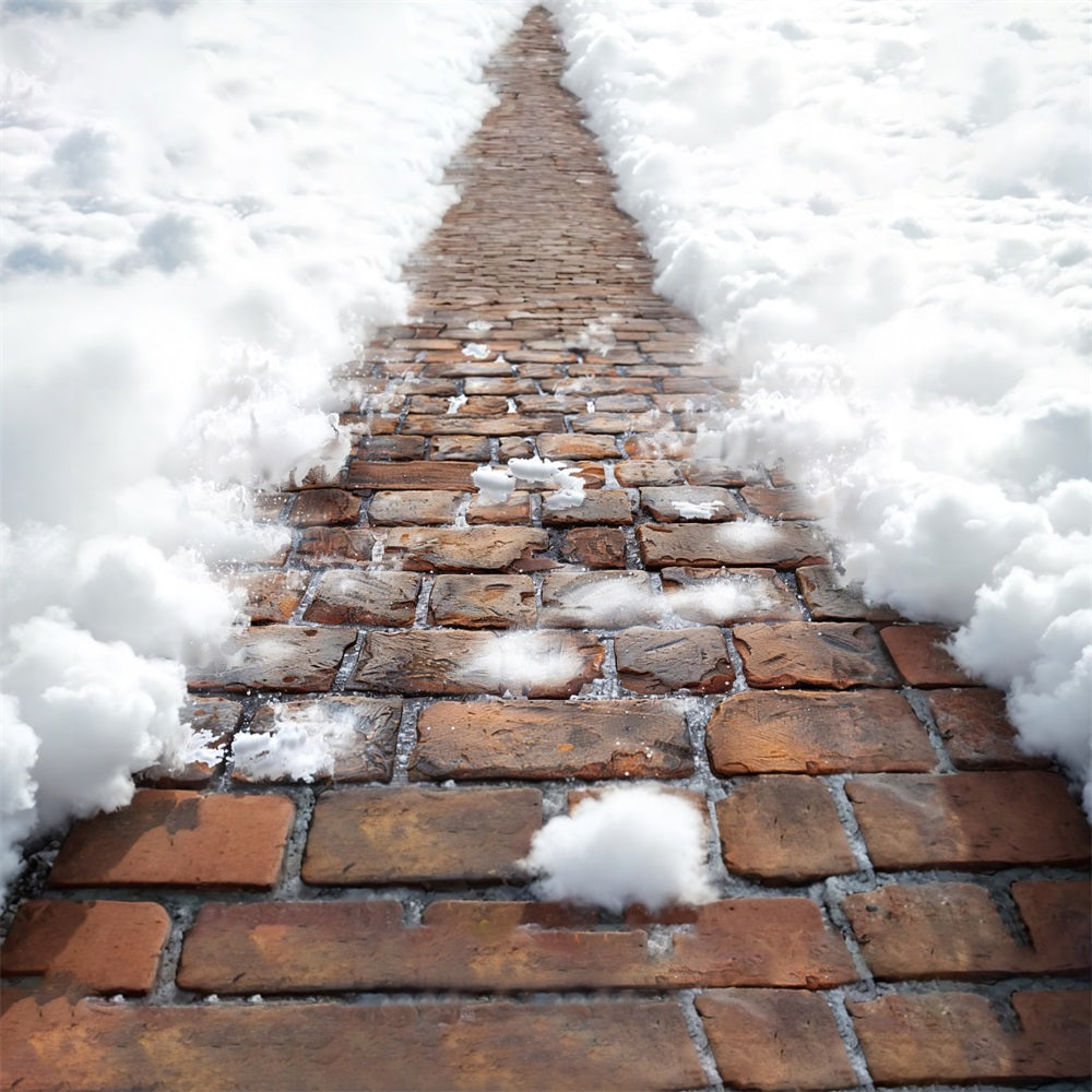 Fluffy Soft Snowy Trails Floor Backdrop UK RR7-539