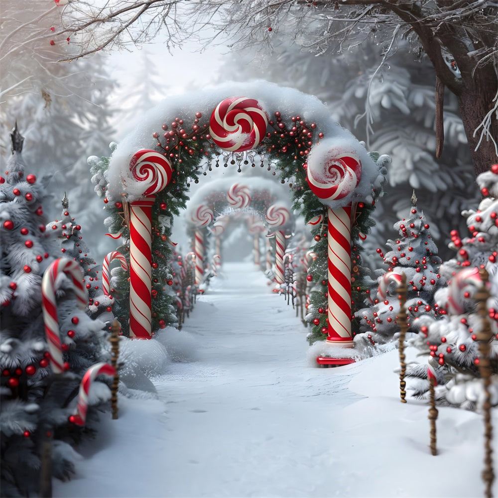 Christmas Candy Cane Wonderland Backdrop UK RR7-672