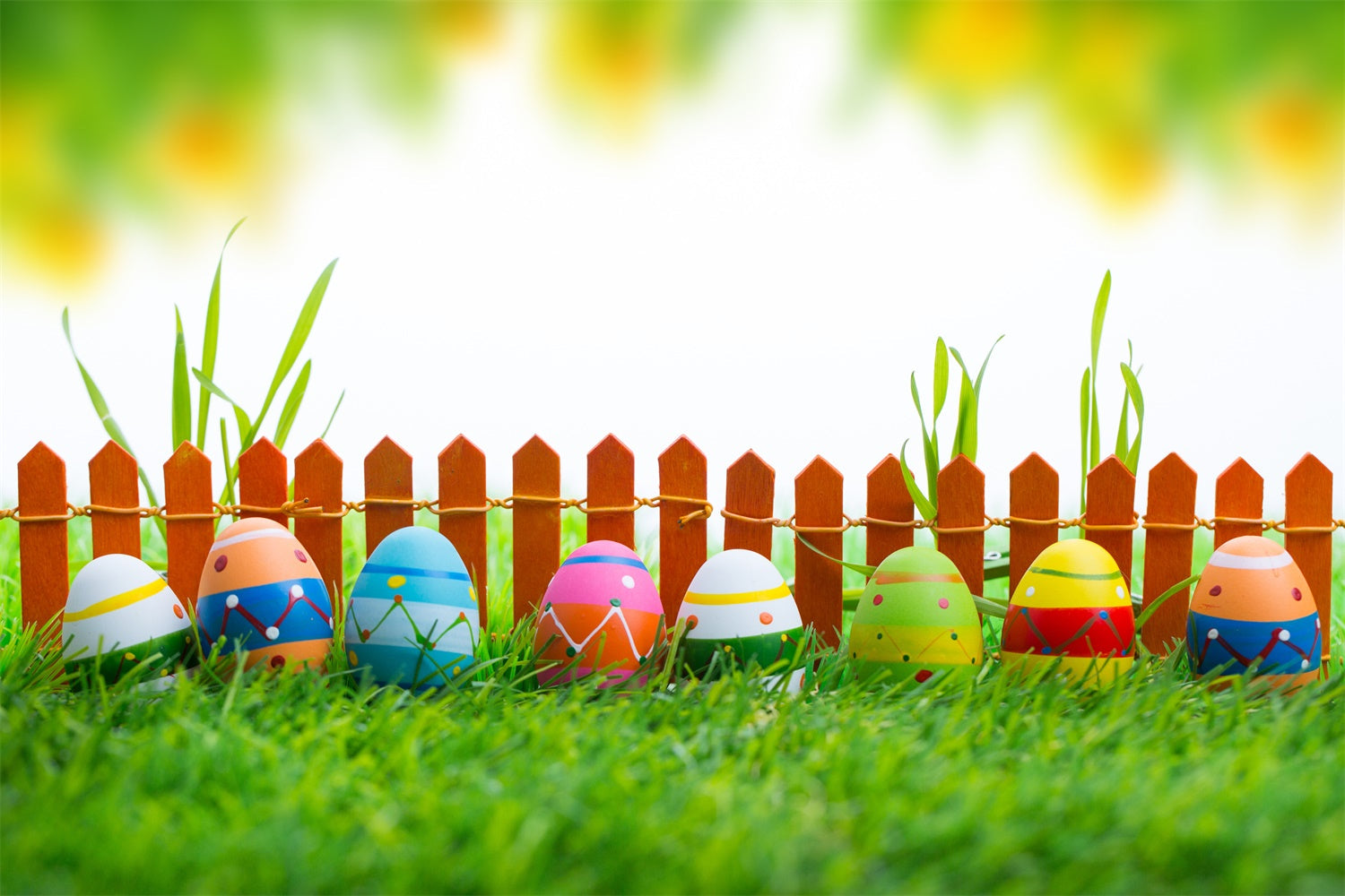 Easter Photo Backdrop Vibrant Painted Egg Display Backdrop UK TWW3-19